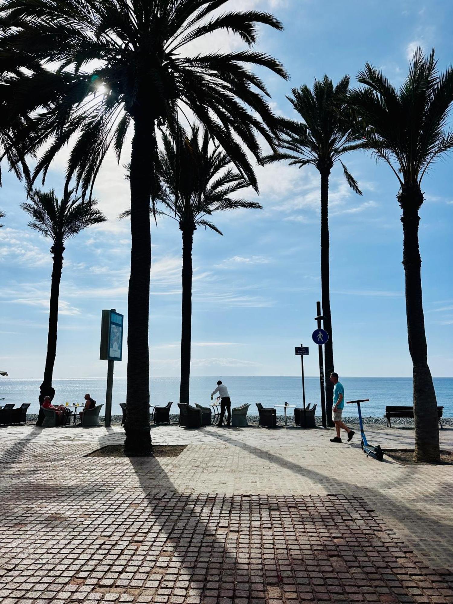 Sunny Sea View Center Of Americas Appartement